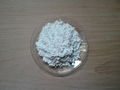 Barium carbonate sample on watch glass.jpg