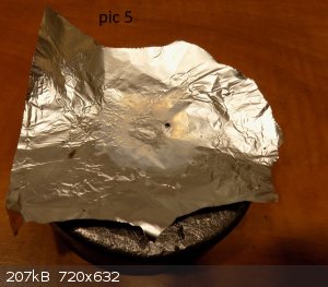 KC primer5.jpg - 207kB