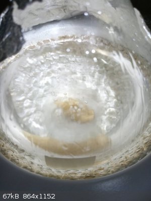 IMG_20240707_140244_0.jpg - 67kB