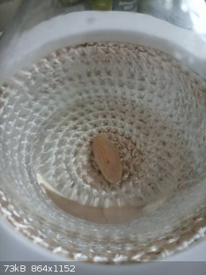 IMG_20240708_155033_6.jpg - 73kB