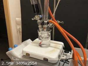 IMG_3031.jpeg - 2.5MB