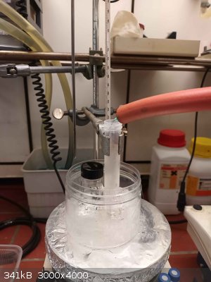 20250202_121340.jpeg - 341kB