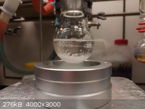 20250128_201004.jpeg - 276kB