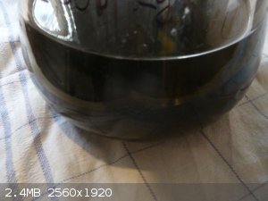 P1140622.JPG - 2.4MB