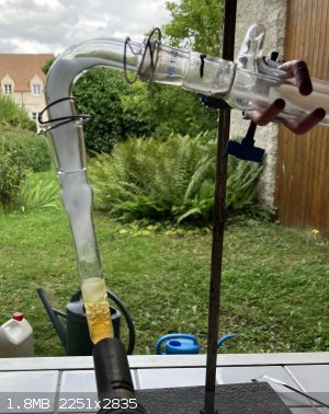 IMG_1686.jpeg - 1.8MB