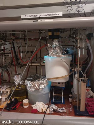 20250809_125436.jpeg - 492kB