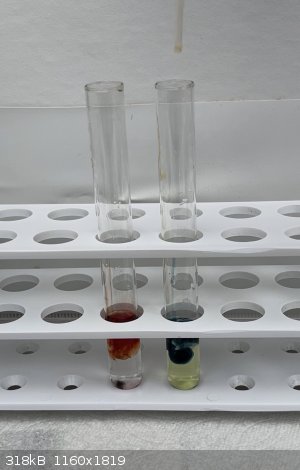 IMG_3182.jpeg - 318kB