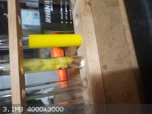 1000013526.jpeg - 3.1MB