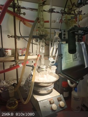 IMG_1440.jpeg - 298kB