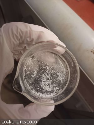 IMG_1441.jpeg - 209kB