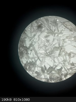 IMG_1442.jpeg - 190kB