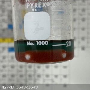 IMG_3498.jpeg - 427kB