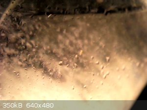 vlcsnap-2025-12-23-11h58m04s361.png - 350kB