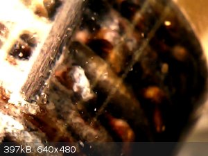 vlcsnap-2025-12-23-12h08m17s459.png - 397kB