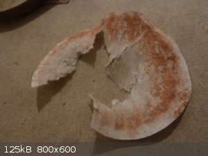 shattered filter paper.jpg - 125kB