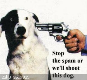 Shoot The Dog.jpg-thumb.jpg - 20kB