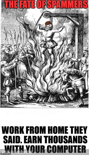 Spammer Meme.jpg - 203kB