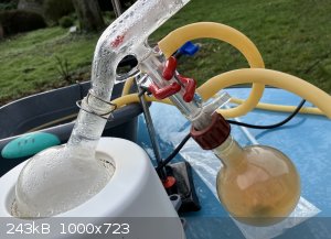 IMG_0684.jpeg - 243kB