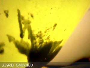 vlcsnap-2026-03-27-19h53m55s783.png - 339kB