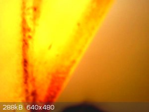 vlcsnap-2026-03-28-12h51m38s024.png - 288kB