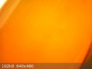 vlcsnap-2026-03-28-12h56m15s593.png - 192kB