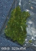 Iron(II) chloride small.jpg - 66kB