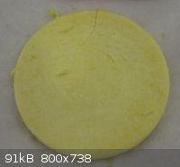 28 triazole filter raw cake.jpg - 91kB