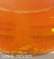 P1240091a.jpg - 125kB