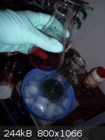 100_1198.jpg - 244kB