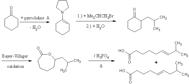 8-Me-nonenoic acids.gif - 5kB