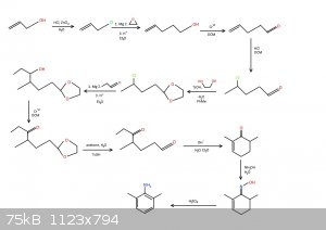 Xylidine2.jpg - 75kB