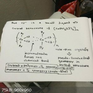 crystal structure of [Co (py)2 (Cl)2].jpg - 75kB