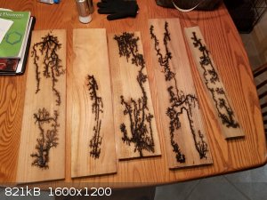 Why Is Lichtenberg Fractal Wood Burning So Dangerous? Key Reasons in 2022 -  Best Wood Carving Tools