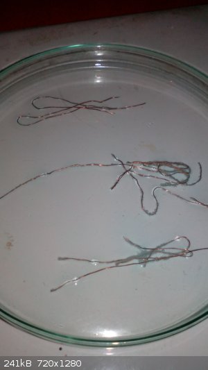 IMG_20180504_140132.jpg - 241kB