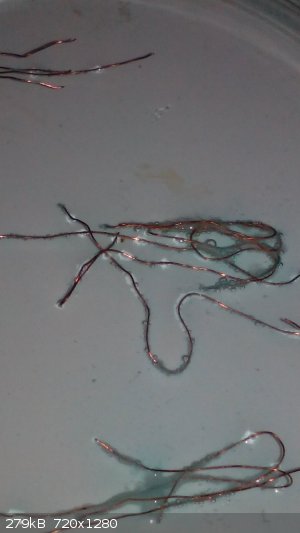 IMG_20180504_140137.jpg - 279kB