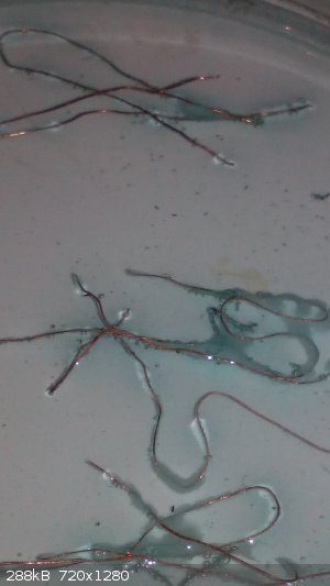 IMG_20180504_140344.jpg - 288kB