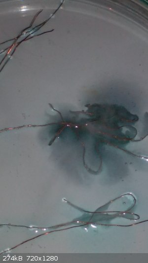 IMG_20180504_140251.jpg - 274kB