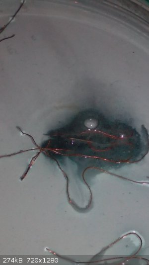 IMG_20180504_140218.jpg - 274kB