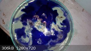 IMG_20180407_172446.jpg - 306kB