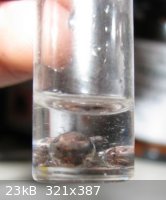 CaptureNaK.JPG - 23kB