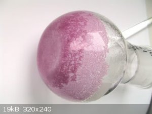 IMG_4257_adj.JPG - 19kB