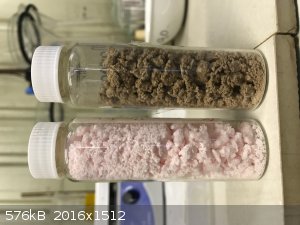 IMG_7932.jpg - 576kB