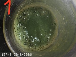 received_135842071808916.jpeg - 157kB