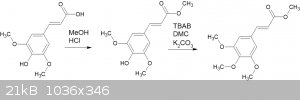 hydroxy cinnamates.png - 21kB