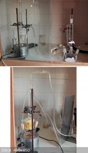 BzCl_fig2.JPG - 55kB