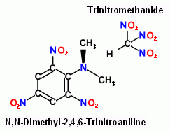 N,N-Dimethyl-2,4,6-Trinitro aniline Trinitro methanide.gif - 5kB