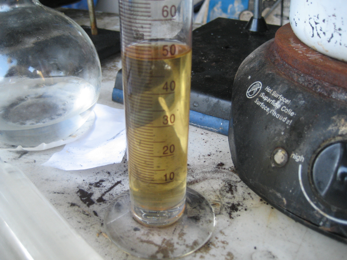 ethyl acetate extract.bmp - 1.1MB