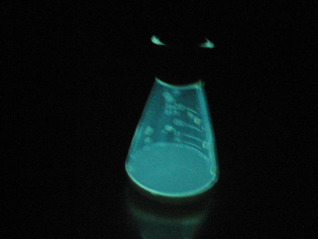 luminol+KOH in DMSO.JPG - 24kB