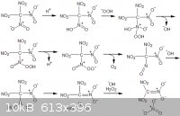 redtetraNMbyH2O2c.gif - 10kB
