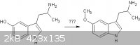 Synthesis I.gif - 2kB